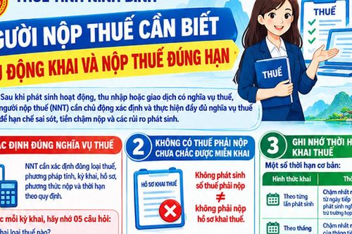 Người nộp thuế cần chủ động khai và nộp thuế đúng hạn