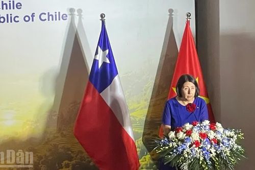 Chile muốn tiếp tục duy trì vị thế đối tác đáng tin cậy, ổn định của Việt Nam tại Mỹ Latin