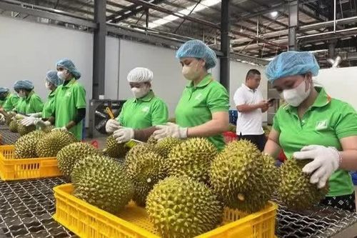 Hơn 800.000 sản phẩm nông sản được đăng ký truy xuất nguồn gốc