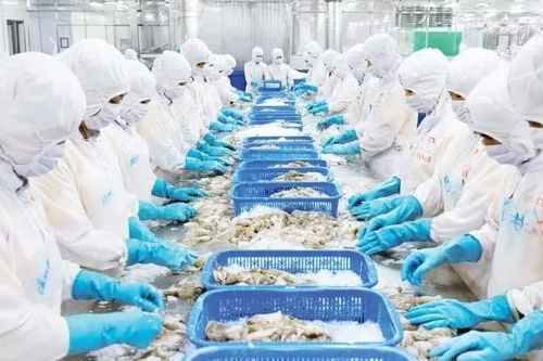 Đẩy nhanh hoạt động sản xuất, xuất khẩu