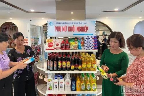Khởi động dự án 'Phụ nữ khởi nghiệp không vốn' tại Vĩnh Long