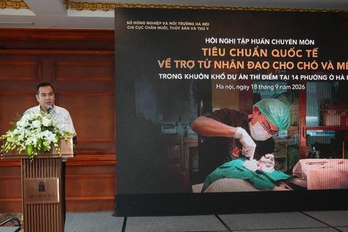 Hà Nội tập huấn tiêu chuẩn quốc tế về trợ tử nhân đạo cho chó, mèo