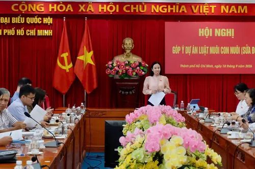 Góp ý hoàn thiện Luật Nuôi con nuôi, tăng cường bảo vệ trẻ em