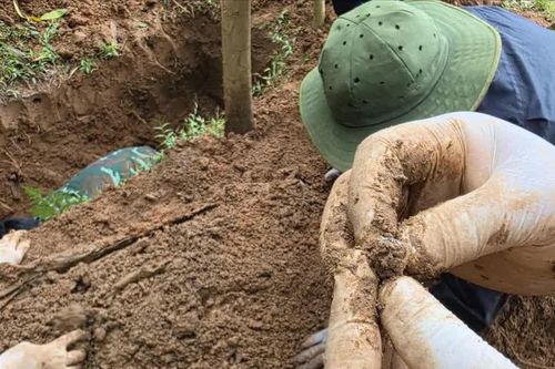 Sau lũ, Huế và Quảng Trị tăng tốc tìm kiếm, quy tập hài cốt liệt sĩ