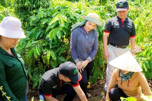Từ EUDR đến cơ hội nâng giá trị cà phê Việt