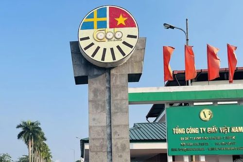Dấu hiệu buông lỏng quản lý đất rừng tại các doanh nghiệp thuộc Tổng công ty Giấy Việt Nam?