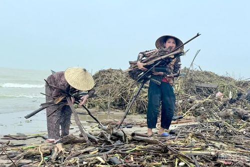 Thanh Hóa: Khẩn trương dọn dẹp rác, củi sau mưa lũ ở Sầm Sơn