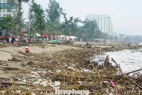 Bãi tắm Sầm Sơn phủ kín củi, rác sau mưa lũ