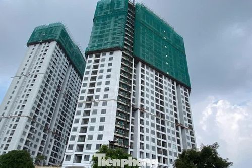 Giá nhà neo cao, doanh nghiệp 'chăm khách' thế nào?