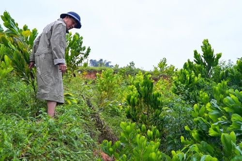 Mưa lớn, ngọn đồi ở Thanh Hóa xuất hiện vết nứt dài gần 200m