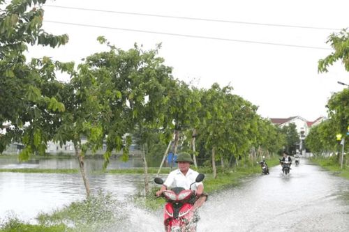 Mưa lớn ở Thanh Hóa và Nghệ An, nhiều tuyến đường ngập sâu