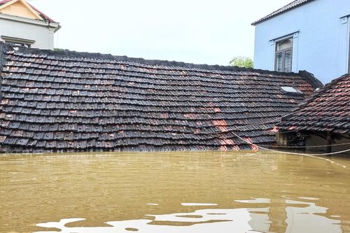Nước sông dâng cao, hơn 3.000 hộ dân Ninh Bình 'chơi vơi' giữa dòng lũ