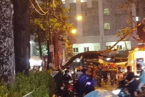 TPHCM: Cây lớn bất ngờ đổ ập xuống xe buýt và xe máy, một người đàn ông tử vong