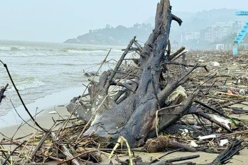 Rác, củi trôi dạt vào bãi biển Sầm Sơn sau mưa lũ