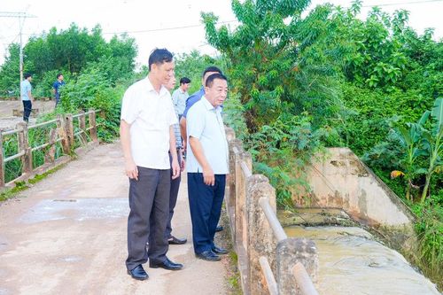 Phó Chủ tịch UBND tỉnh Nguyễn Văn Đệ kiểm tra công tác khắc phục hậu quả mưa lớn và tình hình sản xuất nông nghiệp