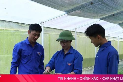 Khởi nghiệp từ những mầm hoa