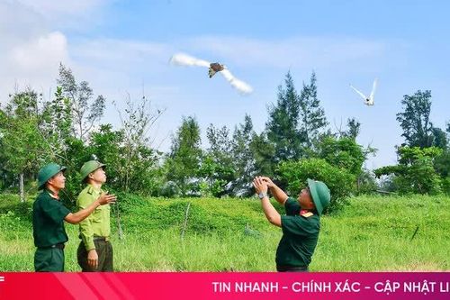 Siết chặt quản lý, quyết tâm ngăn chặn tình trạng săn bắt chim trời
