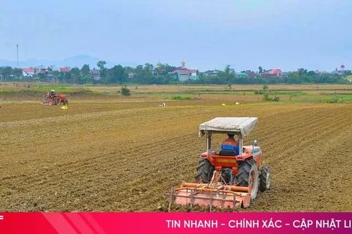 Hà Tĩnh linh hoạt sản xuất vụ đông, nâng cao chất lượng nông sản