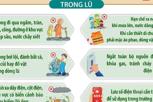 Hướng dẫn cách bảo đảm an toàn về tài sản và tính mạng trong và sau lũ