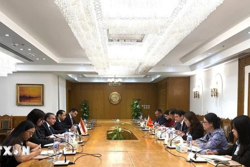 Thứ trưởng Bộ Ngoại giao Lê Anh Tuấn thăm và làm việc tại Ai Cập