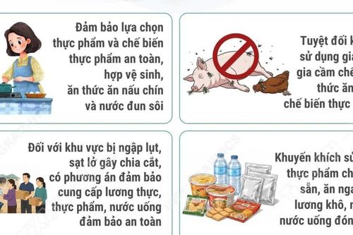 Cách phòng chống các loại dịch bệnh trong mùa mưa lũ
