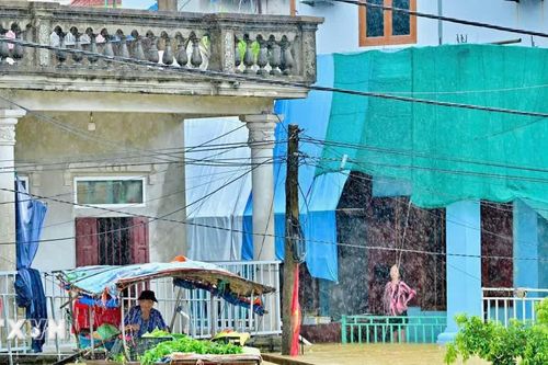 Ninh Bình khẩn trương hỗ trợ người dân vùng ngập lụt
