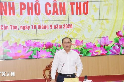 Cần Thơ đẩy nhanh chuẩn bị Festival Lúa gạo 2026