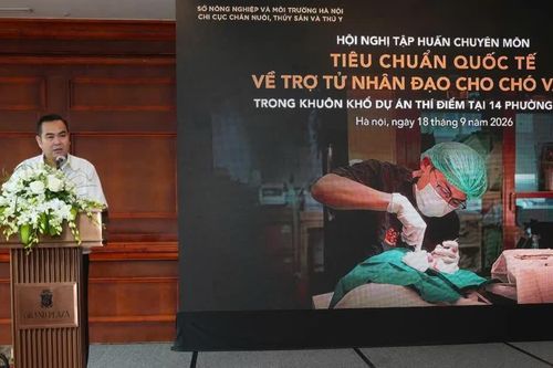 Trợ tử nhân đạo cho chó, mèo: Từng bước hiện thực hóa phúc lợi động vật tại Thủ đô