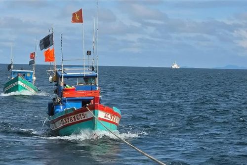 Nhắc nhở hơn 200 lượt tàu cá mất tín hiệu giám sát hành trình