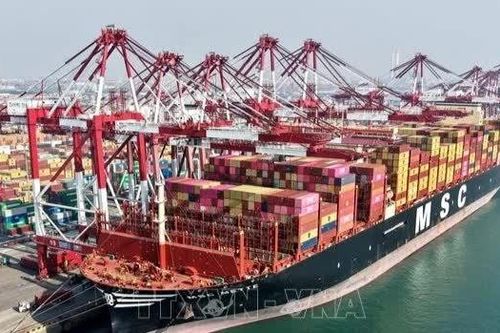 Giá cước vận tải biển Trung - Mỹ áp sát kỷ lục thời dịch COVID-19