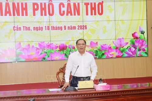 Cần Thơ chuẩn bị Festival Lúa gạo 2026