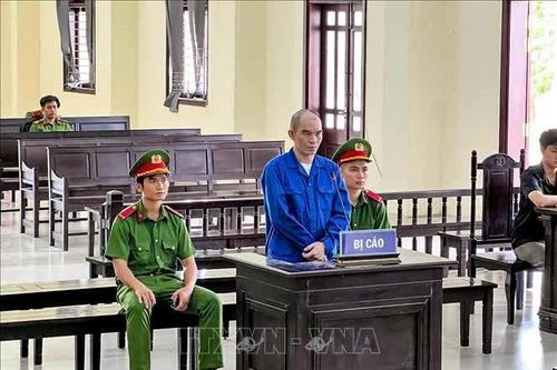 Phạt tù đối tượng giả danh 'đội hiệp sĩ' giải cứu người bị bán sang Campuchia