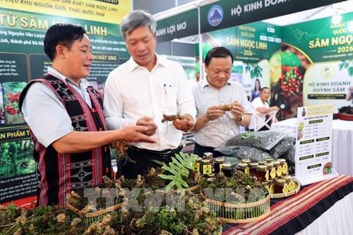 Khoa học công nghệ mở ra những hướng đi mới cho ngành dược liệu