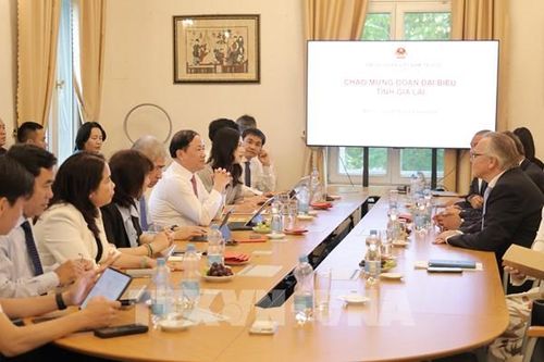 Thúc đẩy hợp tác đầu tư giữa địa phương Việt Nam và các đối tác Đức