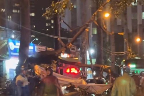 Nhánh cây văng xuống đường, 2 người thương vong
