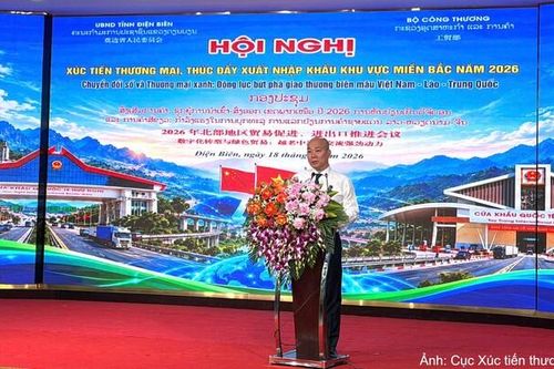 Cục trưởng Vũ Bá Phú: Chuyển đổi số, thương mại xanh là năng lực cạnh tranh cốt lõi