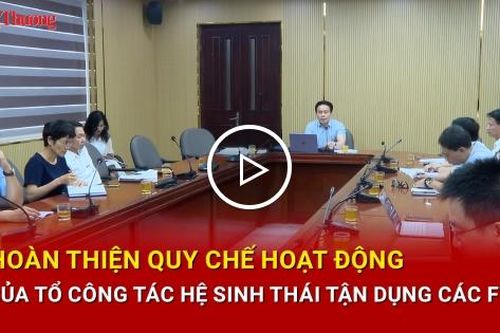 Hoàn thiện Quy chế hoạt động Tổ công tác Hệ sinh thái tận dụng các FTA
