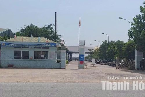 Khó khăn trong xử lý hình sự đơn vị trốn đóng bảo hiểm xã hội