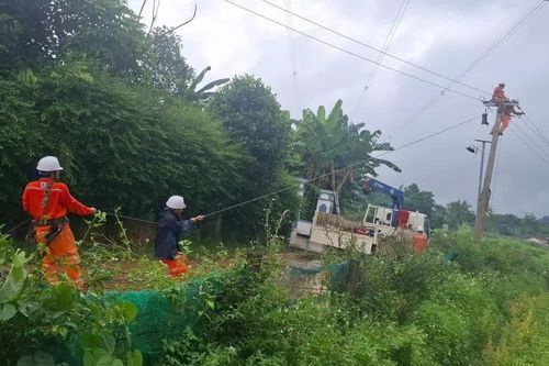 Triển khai các phương án khôi phục cấp điện ngay khi điều kiện an toàn cho phép