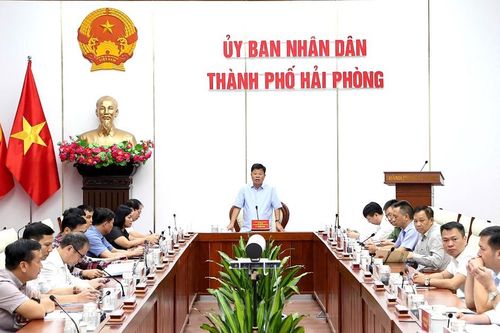 Hải Phòng có 54.549 doanh nghiệp đang hoạt động