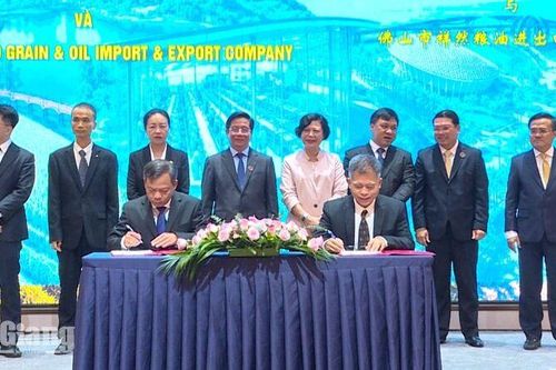 Doanh nghiệp An Giang ký 10 biên bản ghi nhớ với đối tác Trung Quốc