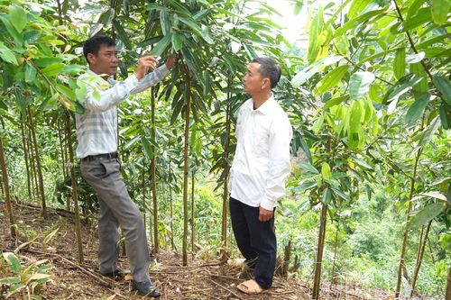 Đề án 79 - Kiến tạo cuộc sống mới nơi biên cương
