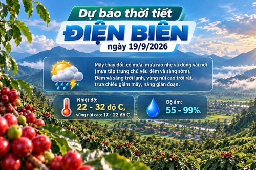 Bản tin Dự báo thời tiết ngày 19/9/2026