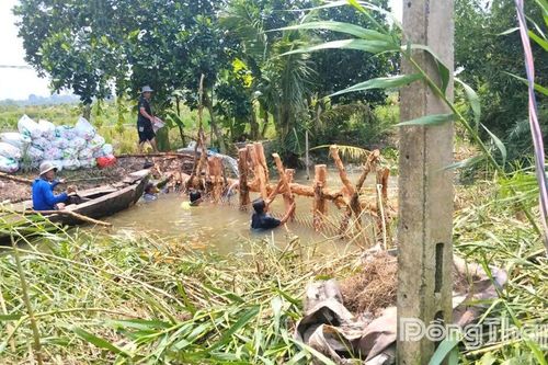 Gia cố 'lá chắn' trước triều cường