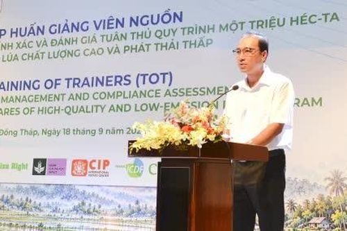 Nâng cao quản lý dinh dưỡng chính xác trong Đề án 1 triệu héc-ta canh tác lúa chất lượng cao