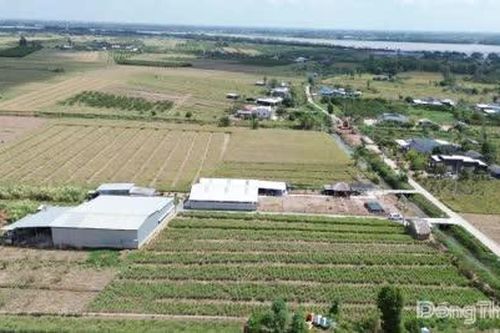 Đồng Tháp: Chấp thuận chủ trương đầu tư 2 dự án điện mặt trời với tổng vốn đầu tư 930 tỷ đồng
