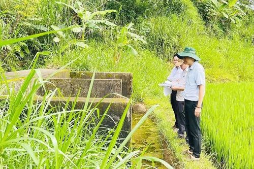 Phường Thống Nhất đề xuất đầu tư 179 tỷ đồng phát triển hạ tầng