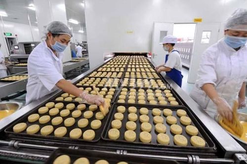 Tăng cường bảo đảm an toàn thực phẩm đối với cơ sở sản xuất, kinh doanh bánh trung thu