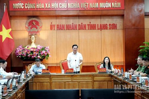 UBND tỉnh họp phiên thường kỳ tháng 9/2026: Xem xét, thảo luận một số nội dung quan trọng