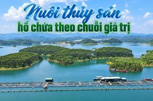 Nuôi thủy sản hồ chứa theo chuỗi giá trị